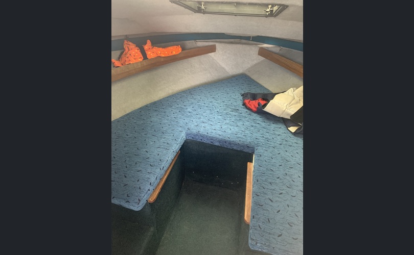 Bayliner 2459-kuva-6